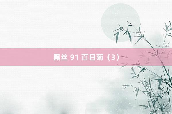 黑丝 91 百日菊（3）