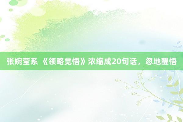 张婉莹系 《领略觉悟》浓缩成20句话，忽地醒悟