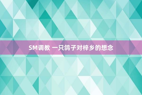 SM调教 一只鸽子对梓乡的想念