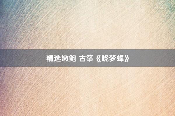 精选嫩鲍 古筝《晓梦蝶》