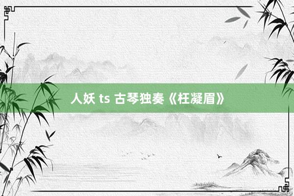 人妖 ts 古琴独奏《枉凝眉》