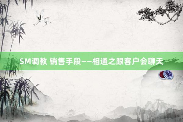SM调教 销售手段——相通之跟客户会聊天