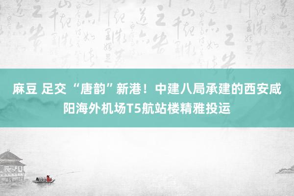 麻豆 足交 “唐韵”新港！中建八局承建的西安咸阳海外机场T5航站楼精雅投运