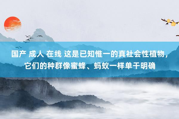 国产 成人 在线 这是已知惟一的真社会性植物，它们的种群像蜜蜂、蚂蚁一样单干明确